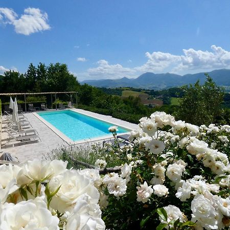 Bed and breakfast Borgo Crispiero Extérieur photo