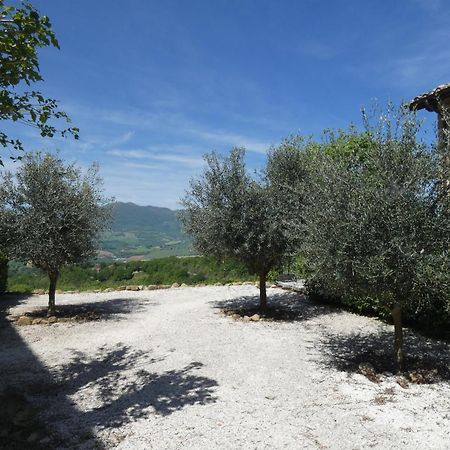 Bed and breakfast Borgo Crispiero Extérieur photo